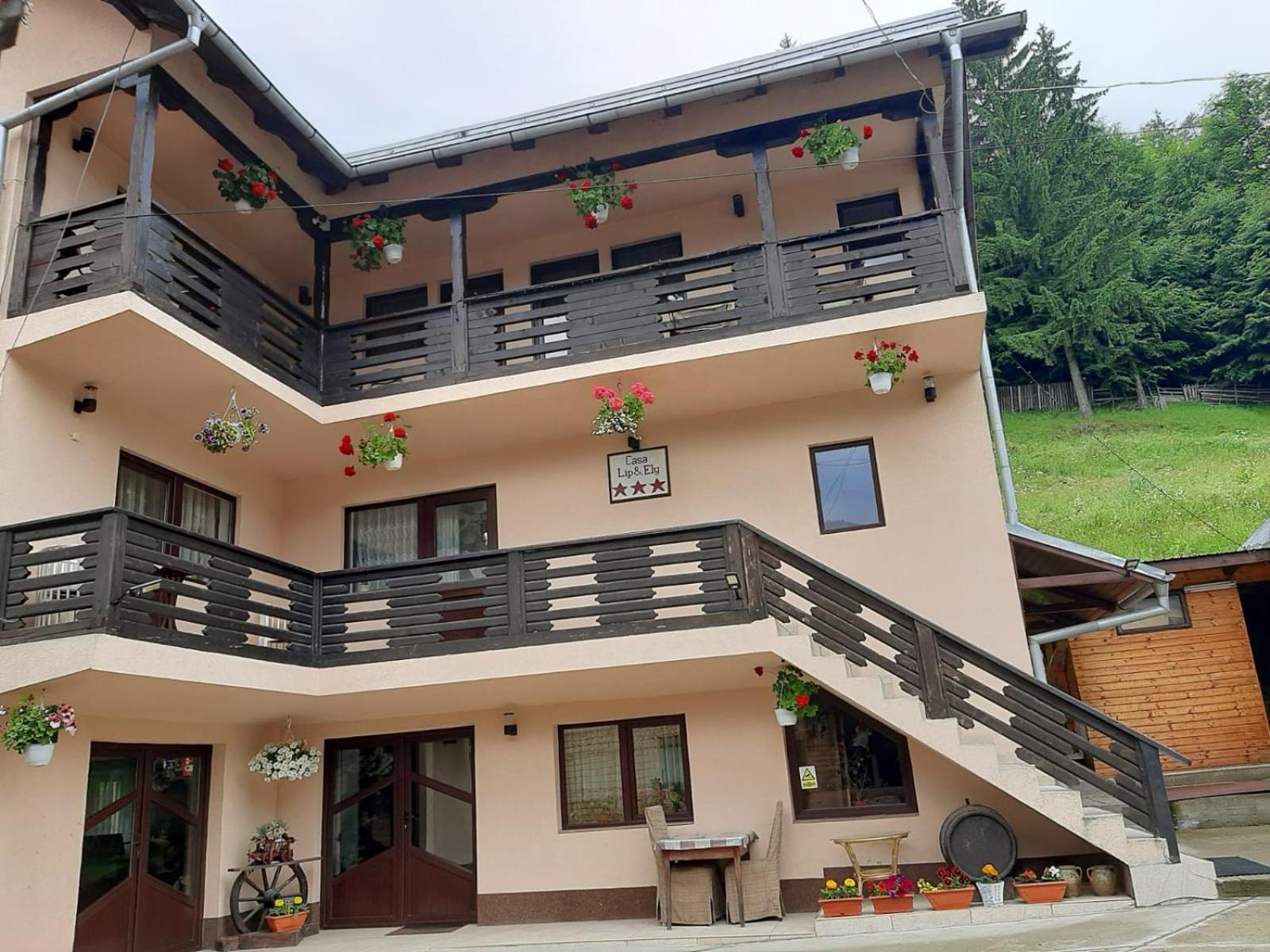 Lip Si Ely Hotel Dîmbovicioara Exterior foto
